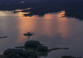 Business portrait generated by Flux Krea